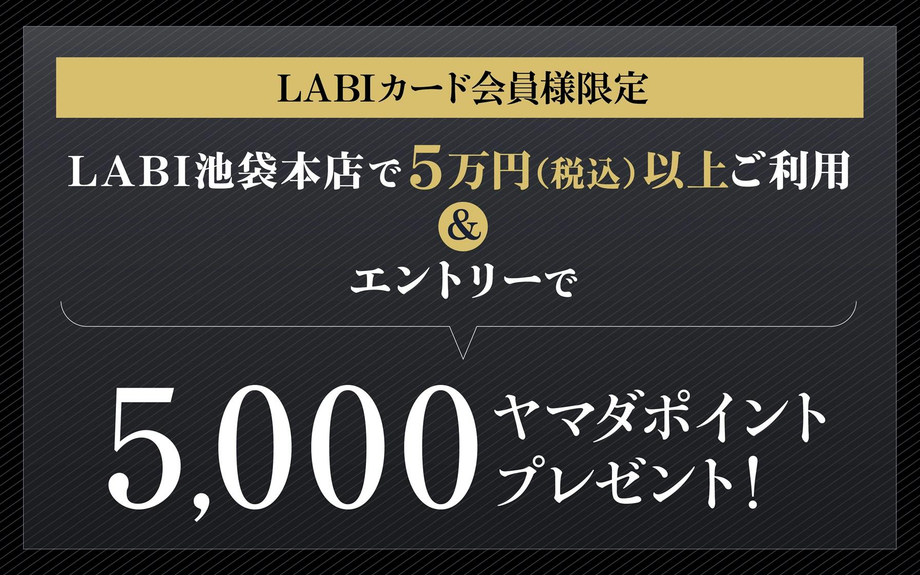 【LABI池袋本店限定】LABIカードご利用で5,000ヤマダポイントプレゼント! ※要エントリー