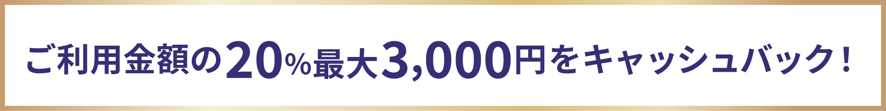 ご利用金額の20%最大3,000円をキャッシュバック
