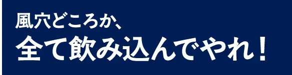 風穴どころか、全て飲み込んでやれ！