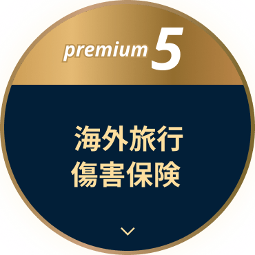 premium5 海外旅行傷害保険